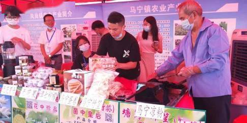肇庆怀集庆祝农民丰收节,大湾区绿色农副产品交易中心启动
